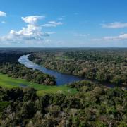 Bolsonaros miljöpolitik har pekats ut som ett hot mot Amazonas regnskogar.