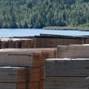 Sågad gran på ett virkesupplag vid en såg i Ullånger.