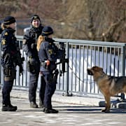 Poliser med förstärkningsvapen av typen MP5 och polishund. Arkivbild.