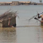 Översvämningsdrabbad familj försöker samla ihop tillhörigheter i Sindh-provinsen i Pakistan.