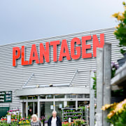 Ratos innehav i Plantagen har länge tyngt bolaget.