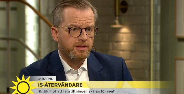 Mikael Damberg  Skärmavbild TV4