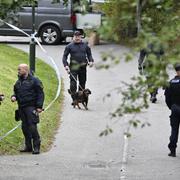 Kriminaltekniker och bombtekniker arbetar i området mellan Serenadgatan och Soprangatan i Malmö på måndagen efter en misstänkt skottlossning mot en lägenhet. En person har avlidit efter skottlossningen.