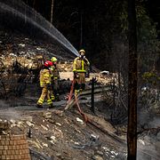 Brandmän i Drammen, 18 juli.