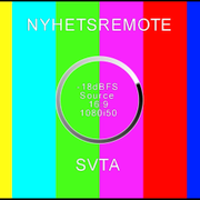 Skärmdump från SVT:s sändning.