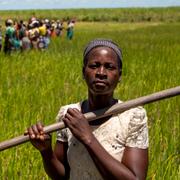 Paulina Livioni jobbar på risfält i Dondo, Moçambique.