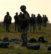 Ukrainska soldater under träning.  Kirsty Wigglesworth / AP