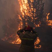 Bild visar en skogsbrand norr om Aten, 11 augusti. 