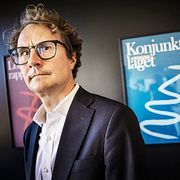 Albin Kainelainen, Konjunkturinstitutets generaldirektör.