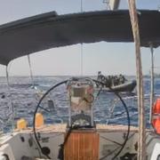 Stillbild från en video som släppts av Global Sumud Flotilla visar israeliska styrkor som stoppar fartyget ”Marinette” den 3 oktober.