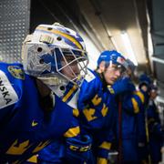 Det svenska laget inför matchen mot Slovakien.