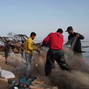 Palestinier tar upp fiskenät vid hamnen i Gaza. 