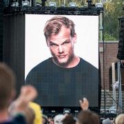 Tim Bergling.