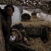 Ukrainska soldater vid fronten.