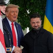 Donald Trump och Volodymyr Zelenskyj.