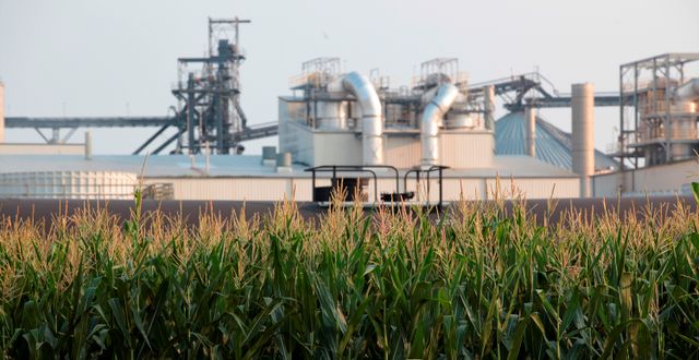 Arkivbild, etanolraffinaderi i USA. Stephen Groves / AP
