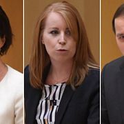 Anna Kinberg Batra, Annie Lööf och Stefan Löfven