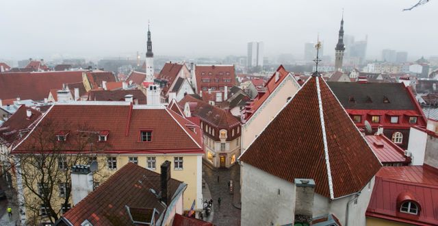 Estniska huvudstaden Tallinn. Stina Stjernkvist/TT / TT NYHETSBYRÅN