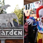 Kolmården, arkivbild på clown.