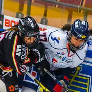 Luleå och Linköping gjorde upp om guldet.