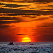 Haven har aldrig varit varmare, visar en ny studie. 