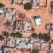 Några av bilderna som forskarna analyserar.