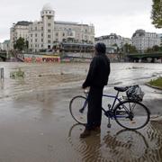 Cyklist vid Donau i Wien. 