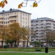 Tessinparken i centrala Stockholm.