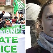 Demonstranterna/Greta Thunberg håller tal 