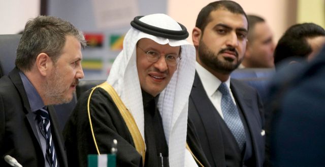 Abdulaziz bin Salman. Arkivbild. Ronald Zak / AP