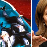 Delfinslakt i Taiji och ambassadör Caroline Kennedy.