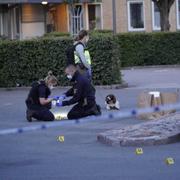 Polisen söker med hund och kriminaltekniker är på plats innanför avspärrningarna på Näsby i Kristianstad efter en skottlossning på tisdagseftermiddagen.