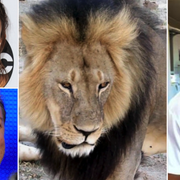 Juliette Lewis/Ricky Gervais/Cicel/Walter Palmer