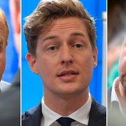 Eskil Erlandsson, Emil Källström och Fredrick Federley uppges alla ha förespråkat Ulf Kristersson som statsminister.