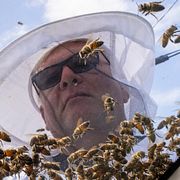 Den kanadensiska biodlaren Mike Osborne i Ontario.