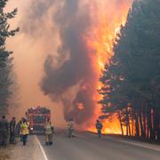 Skogsbrand i Sibirien i juni. 