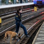 Polisen söker med hund på perrongen till Spår 4 och 5 (där gärningsmannen enligt mediauppgifter greps) på Lund C på tisdagskvällen tisdagskvällens skottlossning.