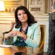 Utrikesminister Ann Lindes pressekreterare hänvisar till UD:s pressavdelning.