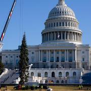 Julgran reses utanför Kapitolium i Washington DC.