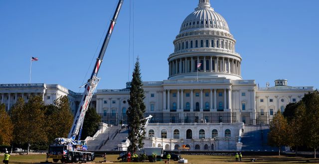 Julgran reses utanför Kapitolium i Washington DC. Carolyn Kaster / TT NYHETSBYRÅN
