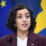 Utbildnings- och integrationsminister Simona Mohamsson (L), presenterar förslag som ska öka insynen i fristående förskolor och skolor, under en pressträff på måndagen. 