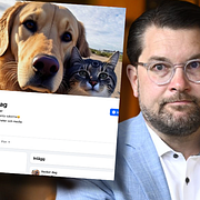 Emanuel Karlsten/bild från AI-sidan ”Vacker dag”/Jimmie Åkesson