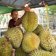 Durian.