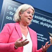 Socialtjänstminister Camilla Waltersson Grönvall (M) under en pressträff om regeringens förslag om en ny socialtjänstlag.