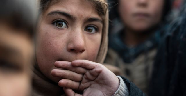 Flicka i Herat.  Petros Giannakouris / TT NYHETSBYRÅN