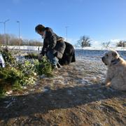 Människor tänder ljus och lämnar blommor på minnesplatsen utanför Campus Risbergska i Örebro där tio personer dog i en skolskjutning på förra veckan.