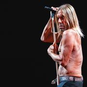 Iggy Pop. Arkivbild.