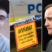 Rozh Shamal till vänster. Till höger: Stefan Löfven. 