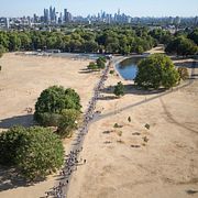 Torkat gräs i Londonparken Clapham common.