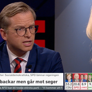 Näringsminister Mikael Damberg i SVT.